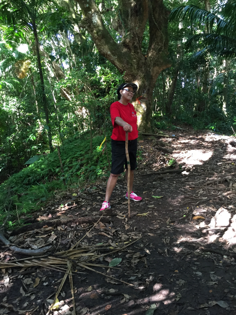 Violcano Hike 122614
